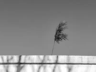 Classy Slots Casino Mobile App